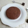 gâteau cru hyperprotéiné chocolat noisette au psyllium (sans oeufs ni beurre)