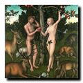 Circoncision, excision et sexualité