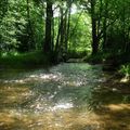 Rando dans les Vosges hautes-saônoises