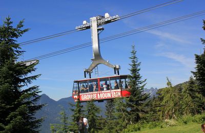 Grouse Mountain