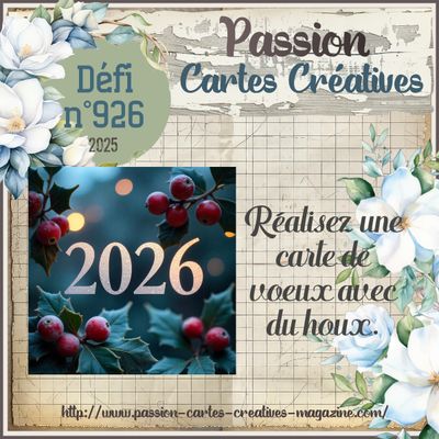 Défi n°926 du jeudi 25 décembre 2025