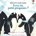 Es-tu là, petit pingouin ? - Mon petit cache-cache