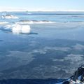 Cernés par les glaces