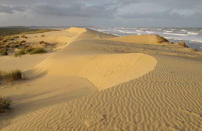 La semence du temps (Quatrains, 1338)