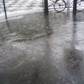 Boulevard Saint-Michel, jour de pluie