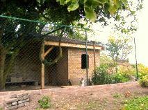 Auprès de mon arbre...