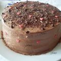 Gâteau à la mousse au chocolat et confiture de fraises