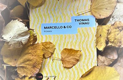  « MARCELLO & CO » de Thomas Vinau