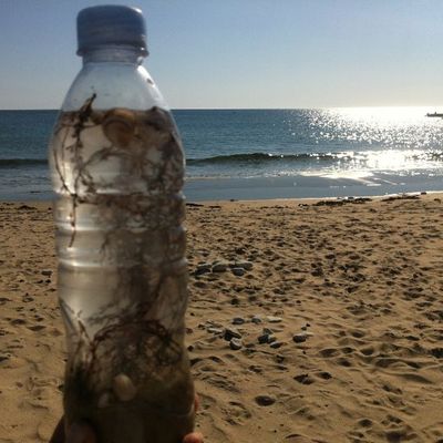 Best Souvenir ... that was not to be bought