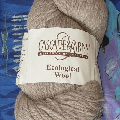 Comment occuper ses soirées d'hiver ?