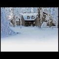 Quand vient l'hiver