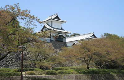 Une chronique de voyage au Japon, à travers sa face cachée