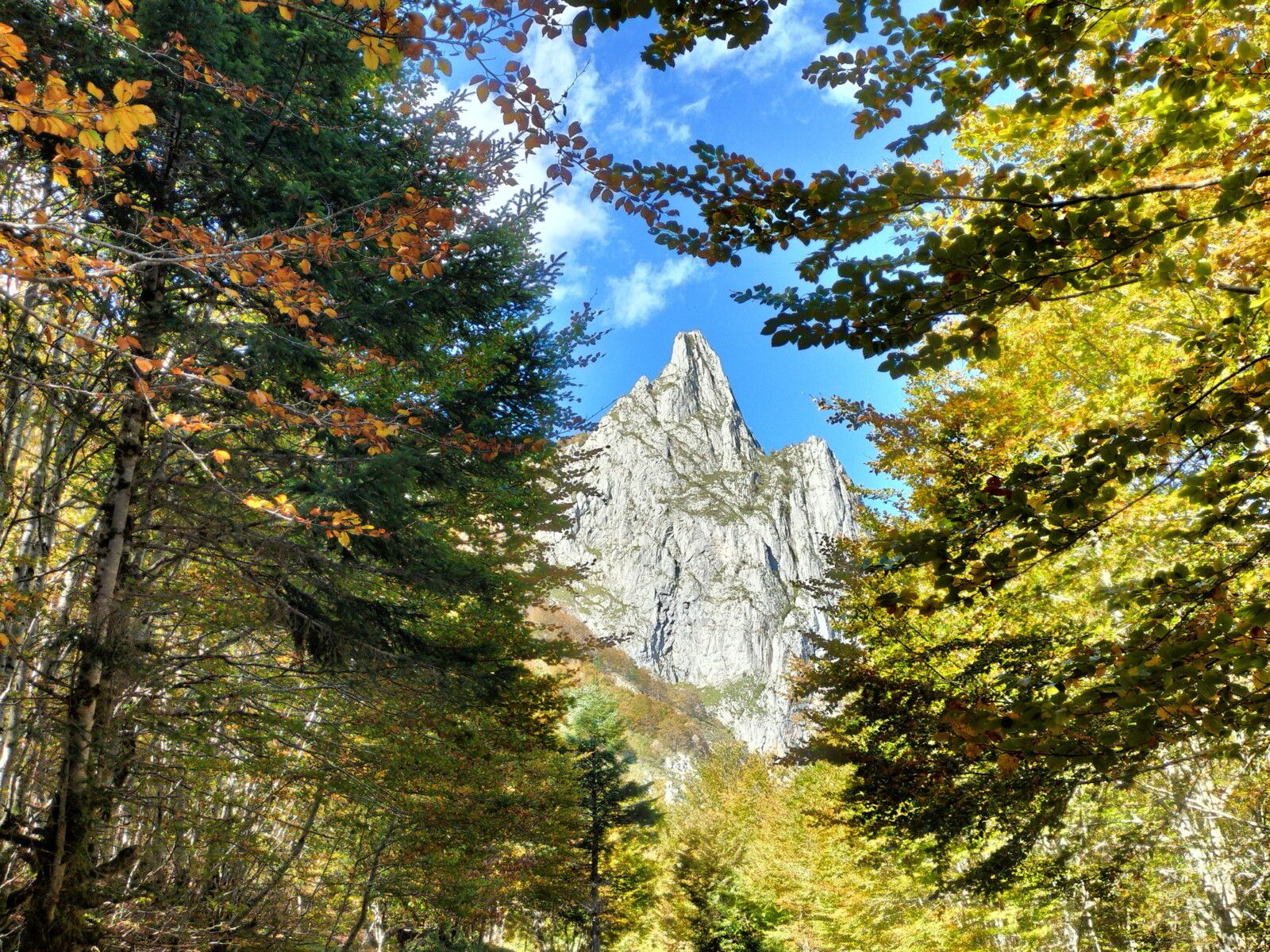 Lescun, plateau de Sanchèse, en chemin. (64)