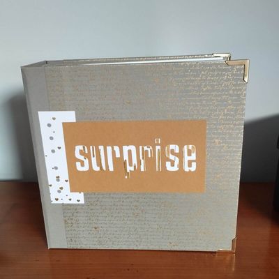 Album Surprise