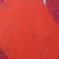 la robe rouge acrylique