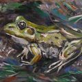 UNE GRENOUILLE - HUILE SUR TOILE - 24/19 cm