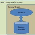 Cartographie hiérarchie architecture d'une base Oracle - Hierarchy architecture mapping of an Oracle database