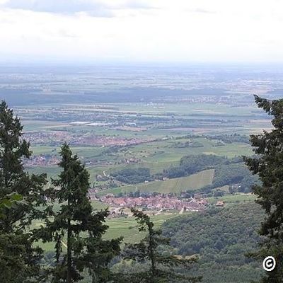 Vue d'Alsace