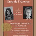 Crop de C&S Avenue 