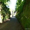 LA PETITE PIERRE (67) - Vauban à La Petite Pierre