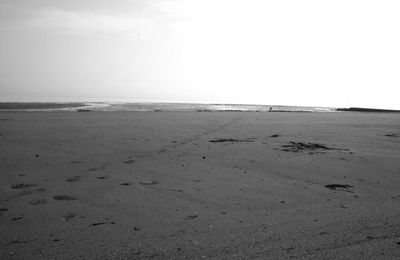 Les mouettes, le sable et l'océan...