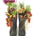 Grands prix de la photographie culinaire