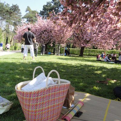 Soutien au Japon, venez au festival du Japon à St.Péray