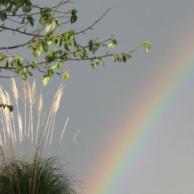 La vie est comme un arc-en-ciel...
