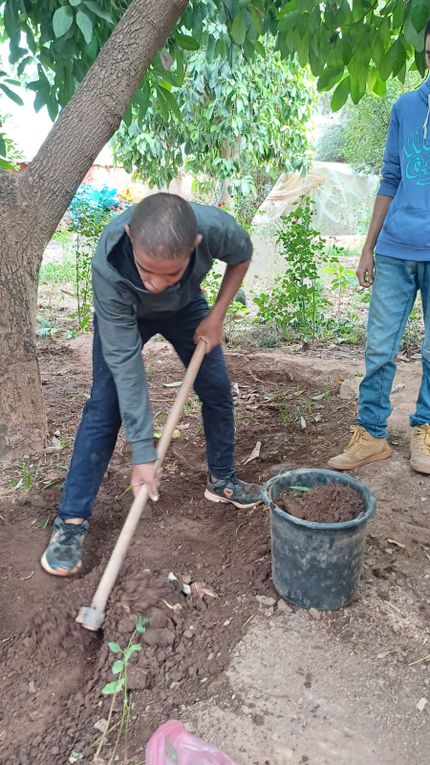 Faire une plantation