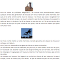 La cheminée et les oiseaux (Katy L)
