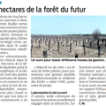 Forêt du futur