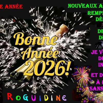 Meilleurs voeux pour l'année 2026