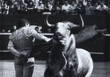 Lucien Clergue, photos d'El Cordobès, Pedrès, Oscar Cruz, Picasso, Manitas de Plata, Dali et de Tauromachie