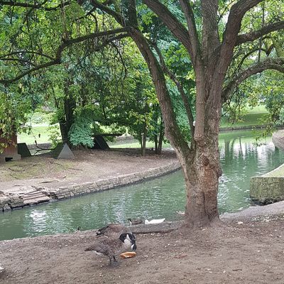 Environnement de la ville de Liège