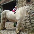 Le p'ti Prince sur son cheval blanc!!!