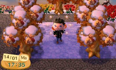 Les arbres à clochettes