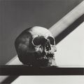 Robert Mapplethorpe (American, 1946-1989), Skull, 1988
