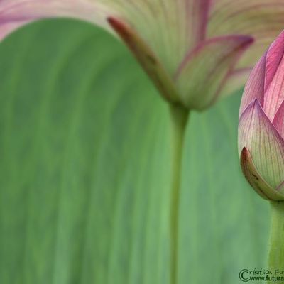 dès que je peux, je m'y remets