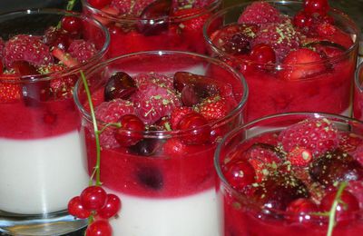 Panna cotta légère, au yaourt et fruits rouges