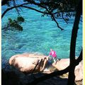 CORSE : Plage de Ficajola (2/2)