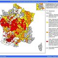 Risque exceptionnel d'incendie de forêt dans le Sud et le Sud-Est de la France
