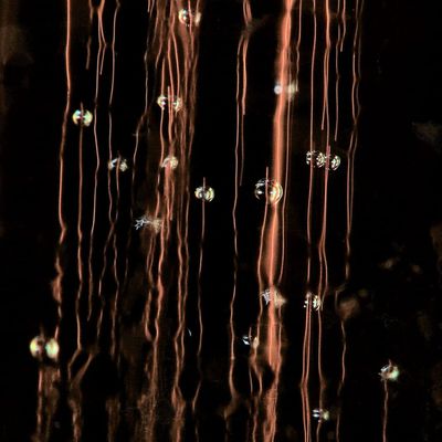 Photo abstraite (Bernard)