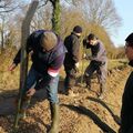 IL FAUT STOPPER L'ARRASEMENT DES HAIES DE NOTRE BOCAGE ET REPLANTER MASSIVEMENT !