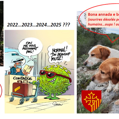 Bona annada 2022