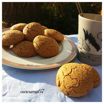 BISCUITS AUX EPICES SANS GLO