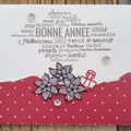 MA BAL DE JANVIER