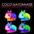 1er ep bunny groovy song