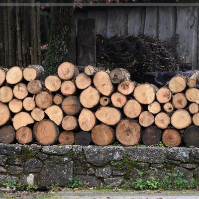 Les réserves pour l'hiver sont faites !