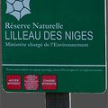 Cartes postales de l'île de Ré - Dans la réserve naturelle de Lilleau des Niges ... [2]