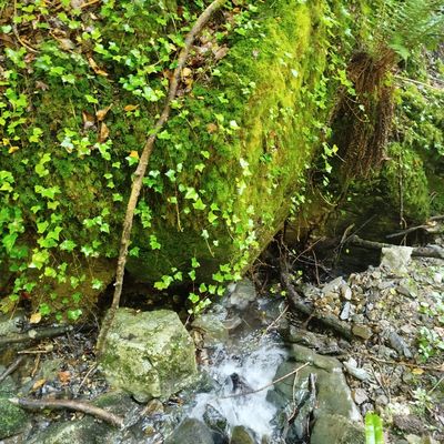Retour dans le vallon de Coume Nère à Rebouc